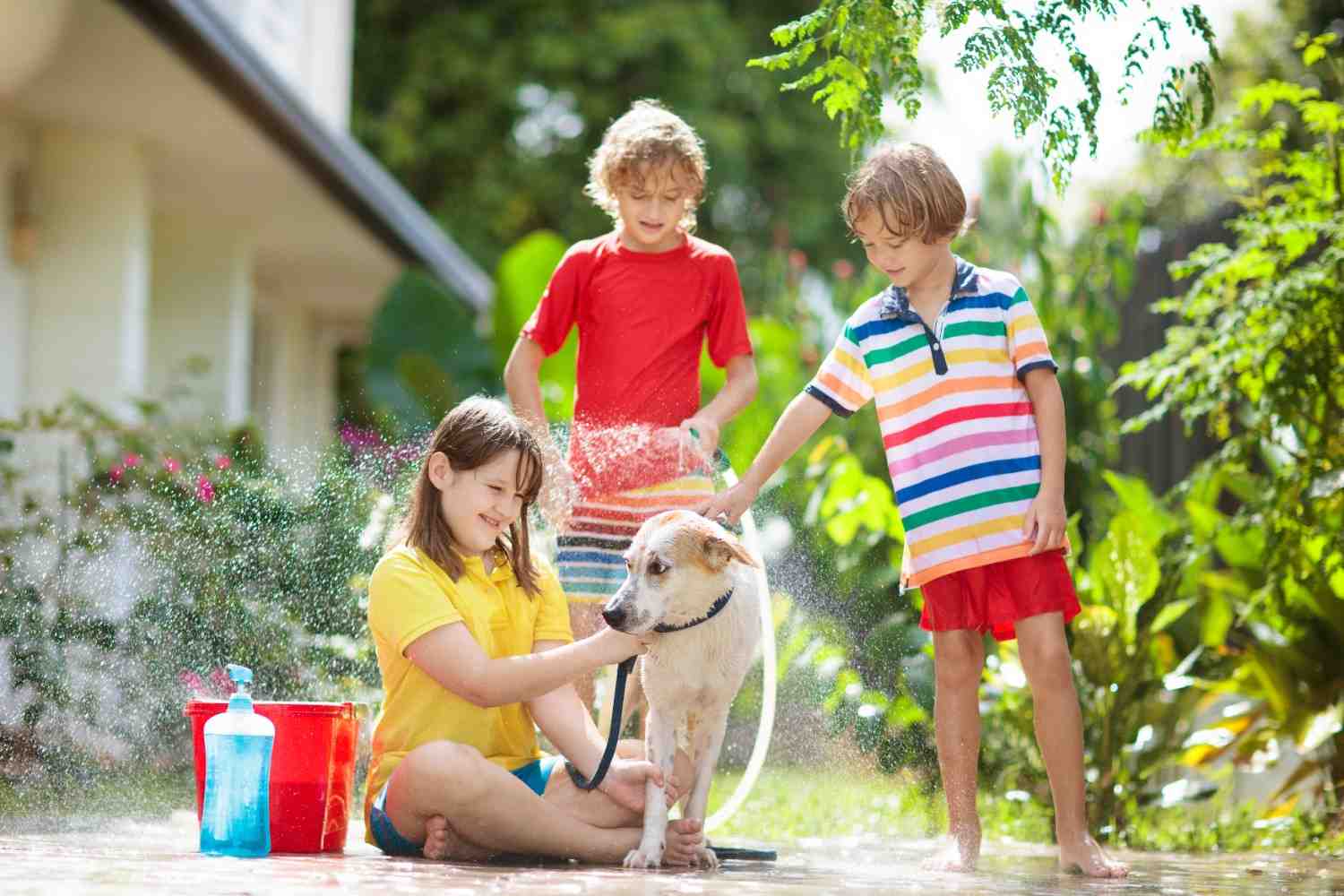 Three children joyfully bathe a dog with bubbles and smiles, at Hilton Butler  in Dallas-Fort Worth