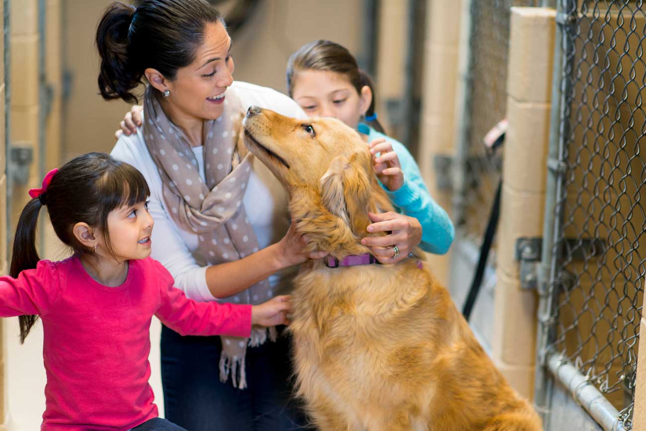 Mother with her 2 kids bonding with a rescued dog from Hilton Butler